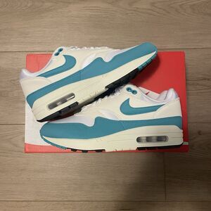 Size 7.5 - Nike Wmns Air Max 1 “Dusty Cactus” 2024 (NEW) | DZ2628-107